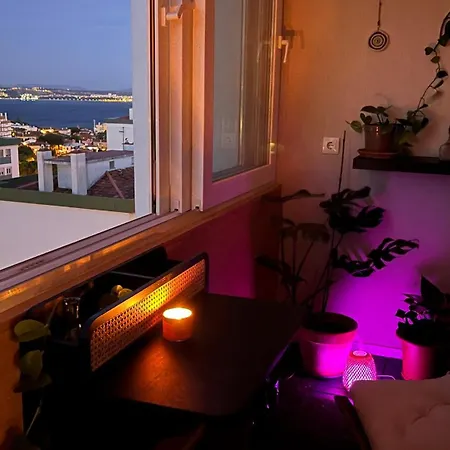 Casa Do Mocho Private In Lisbon ホームステイ